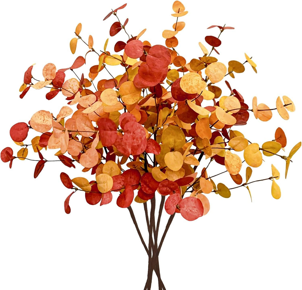 Bonner Harvest Decor Fall Eucalyptus Stem Bundle additional product photo