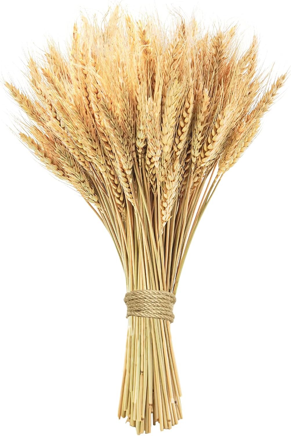 Bonner Harvest Decor Dried Natural Wheat Stems additional product photo