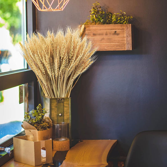 Bonner Harvest Decor Dried Natural Wheat Stems studio product photo