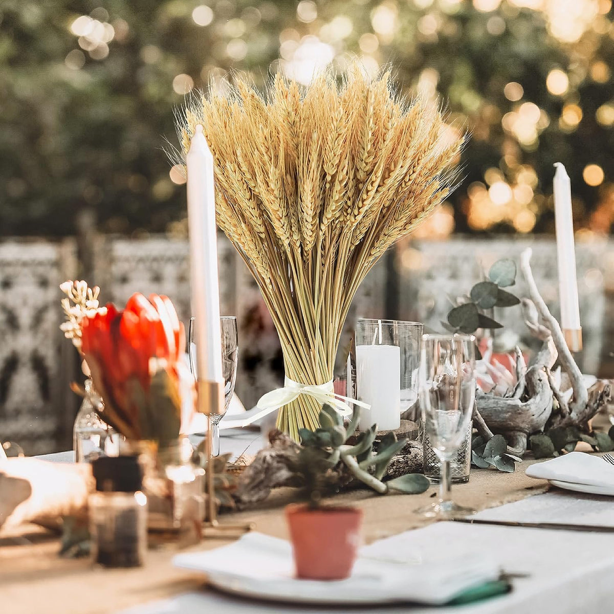 Bonner Harvest Decor Dried Natural Wheat Stems additional product photo